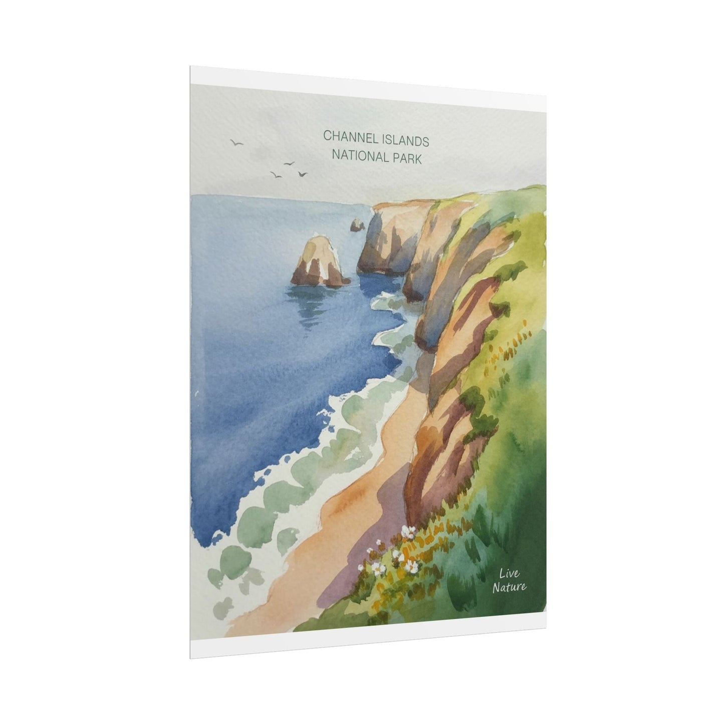 Channel Islands National Park Watercolor Poster Print
