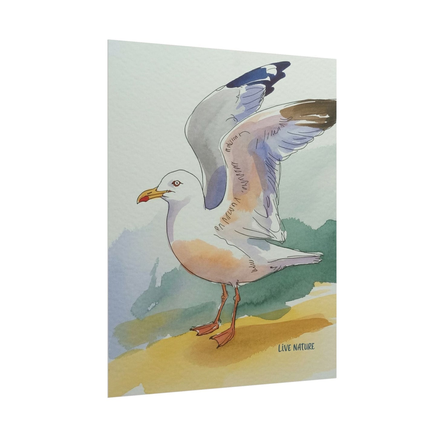 Seagull Watercolor Art Print 'Live Nature' Edition