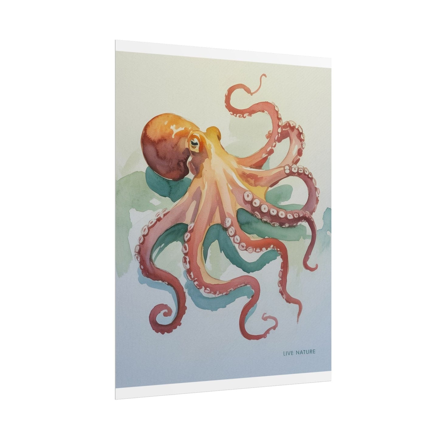 Watercolor Octopus Live Nature Art Print Poster