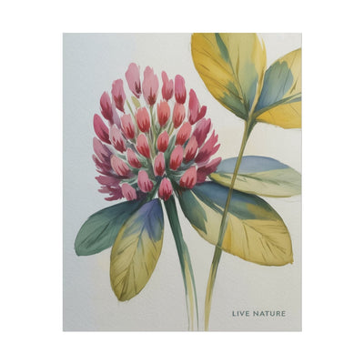Red Clover Botanical Art Print 'Live Nature' Design