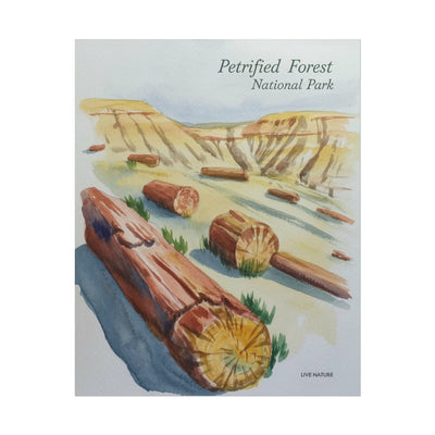Petrified Forest National Park Watercolor Art Print