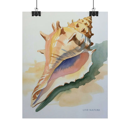 Conch Shell Watercolor Print 'Live Nature' Design