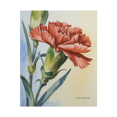 Scarlet Carnation Watercolor Art Print 'Live Nature