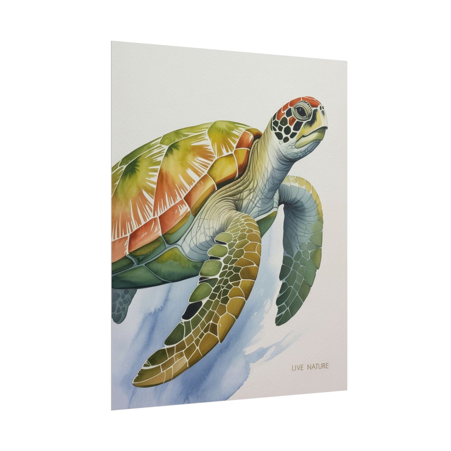 Sea Turtle Watercolor Art Print 'Live Nature' Design