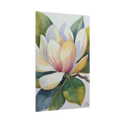Magnolia Blossom Watercolor Print Fine Art Poster