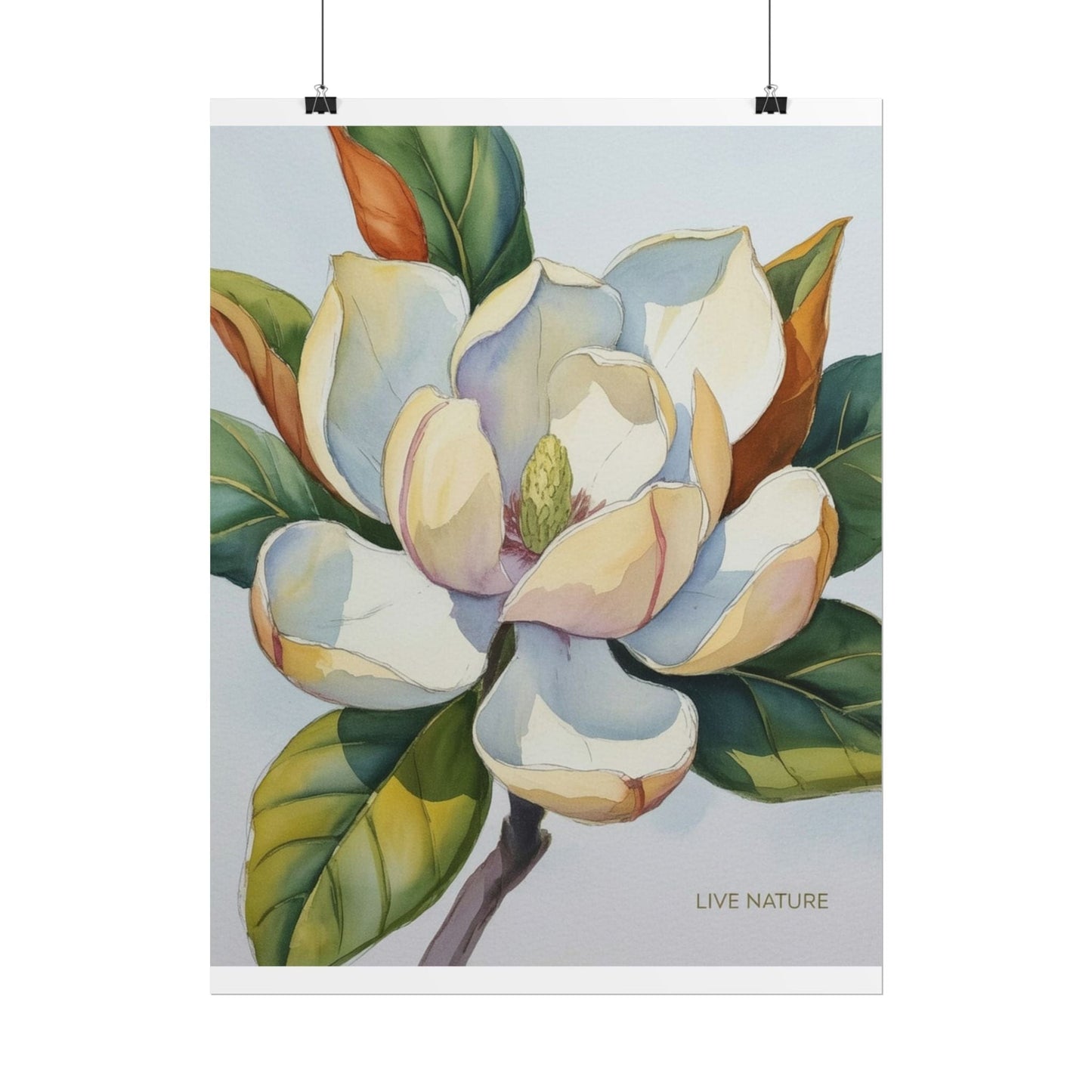 Magnolia Blossom Art Print on Fine Art Paper
