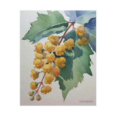 Oregon Grape State Flower Watercolor Art Print