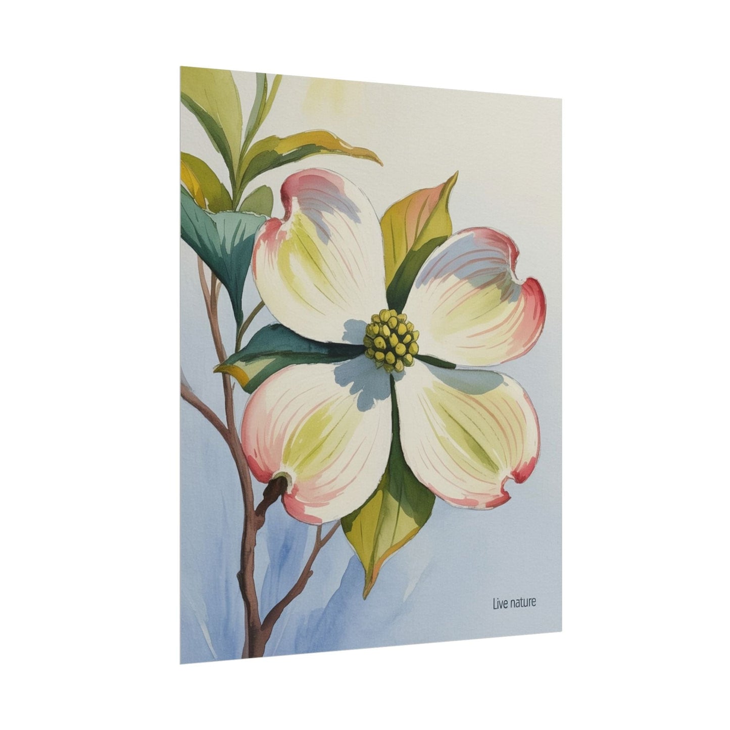 North Carolina Dogwood Watercolor Art Print