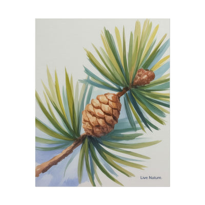 Maine Pine Cone Watercolor Print - Live Nature Art