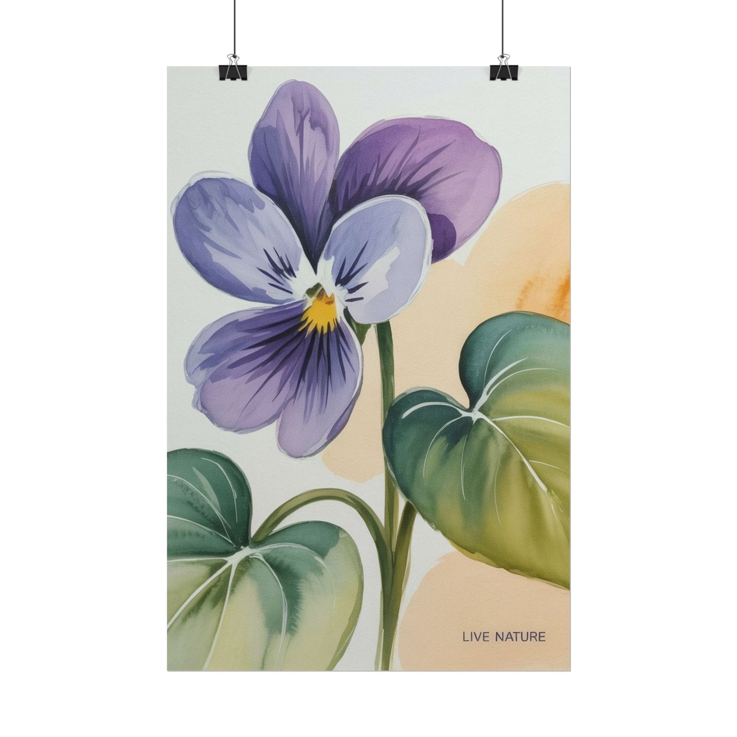 Prairie Violet Botanical Art Print - Live Nature Design