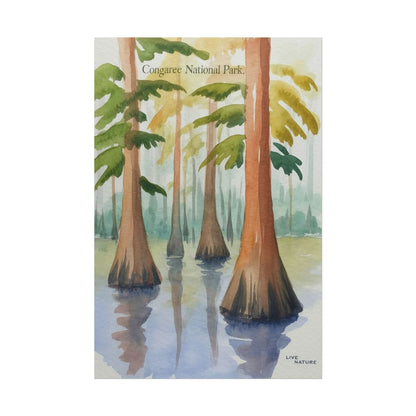 Congaree National Park Cypress Watercolor Poster