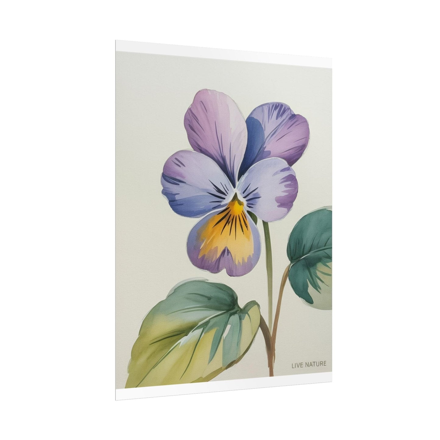Wisconsin Wood Violet Watercolor Print – State Flower Art