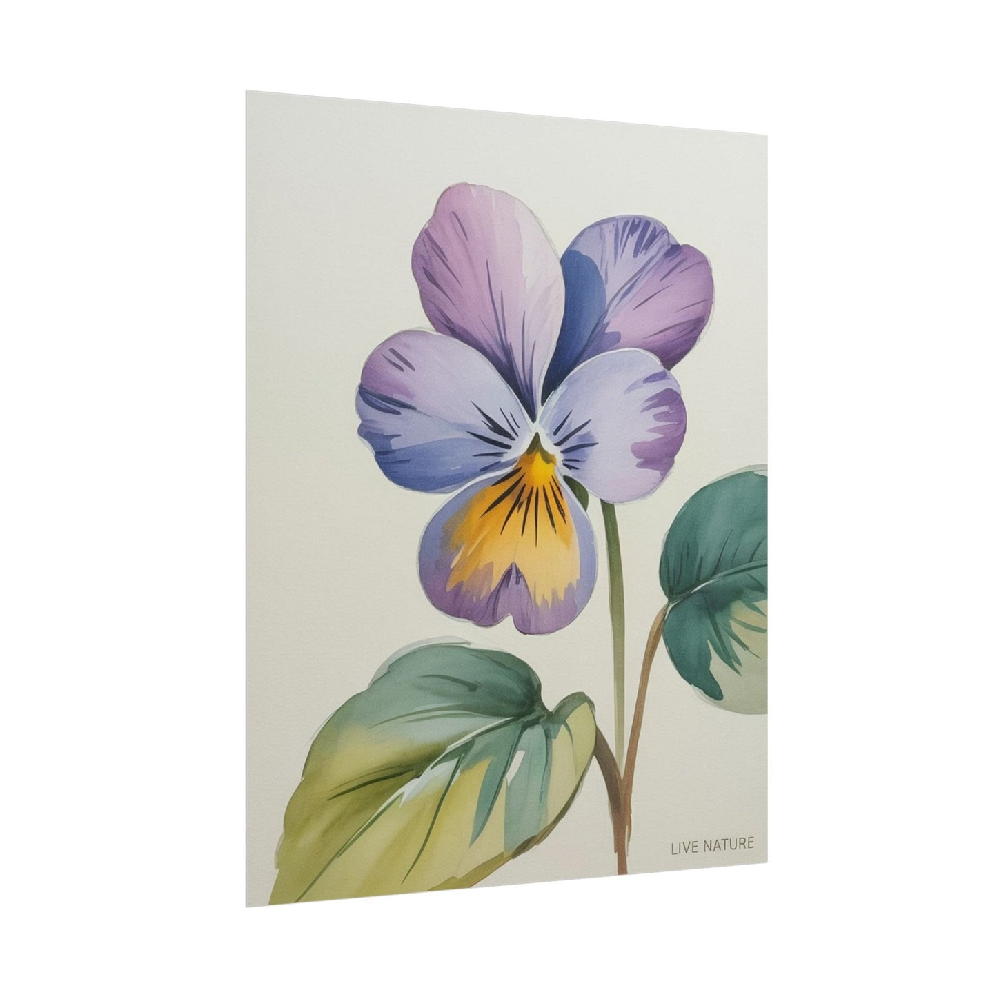Wisconsin Wood Violet Watercolor Print – State Flower Art
