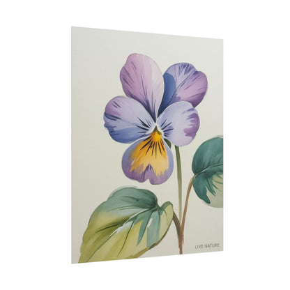 Wisconsin Wood Violet Watercolor Print – State Flower Art