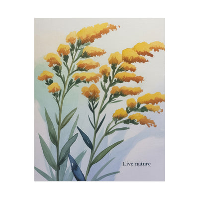 Goldenrod Flower Watercolor Poster - Live Nature Art