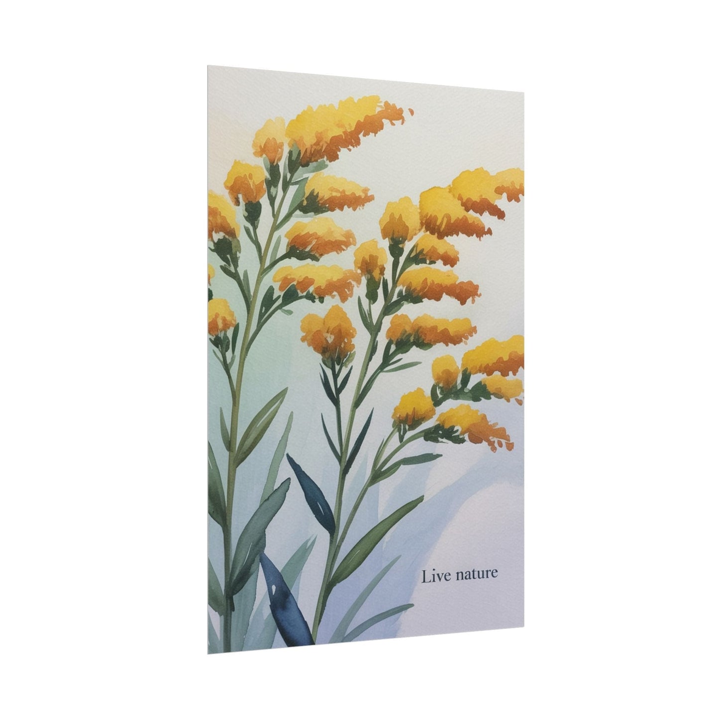 Goldenrod Flower Watercolor Poster - Live Nature Art