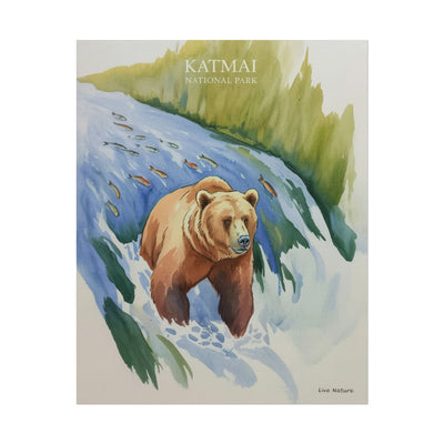 Katmai National Park Bear Watercolor Art Print