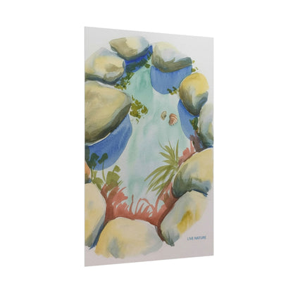 Rocky Tide Pool Watercolor Art Print 'Live Nature
