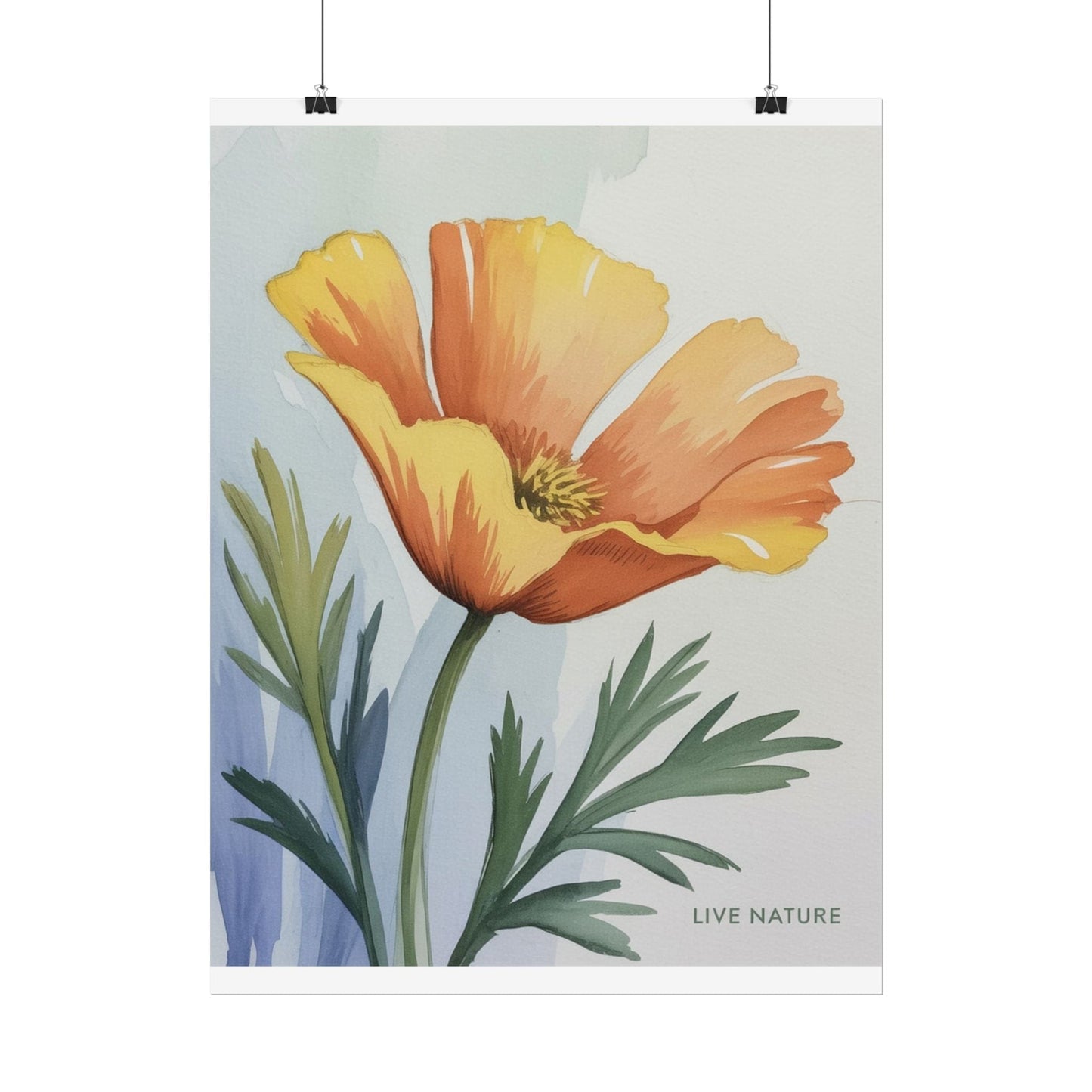 California Poppy Watercolor Art Print 'Live Nature