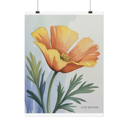 California Poppy Watercolor Art Print 'Live Nature