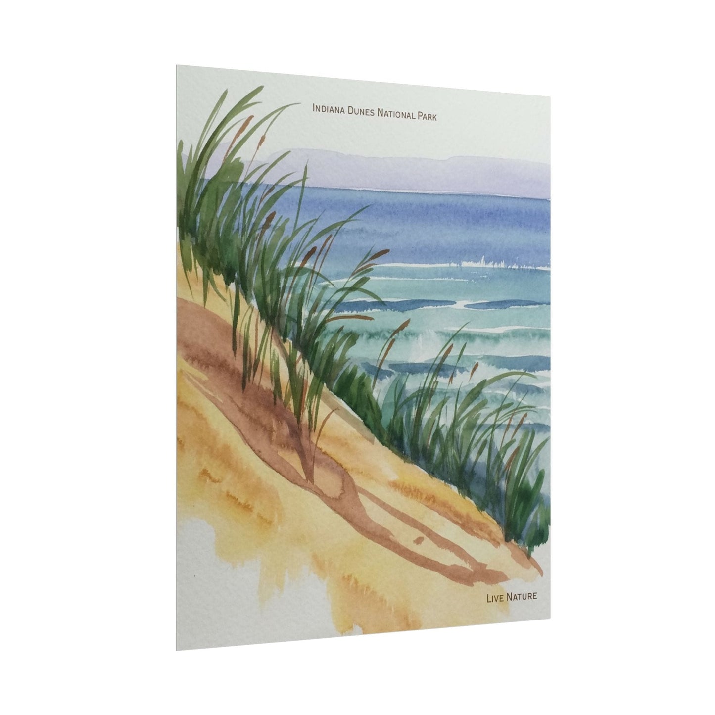 Indiana Dunes National Park Watercolor Print