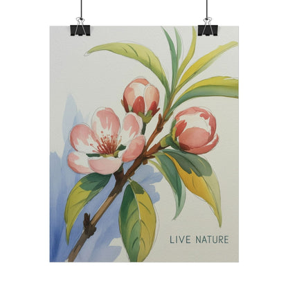 Peach Blossom Live Nature Art Print Poster
