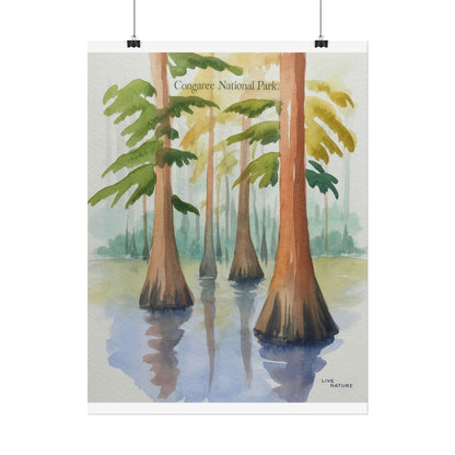 Congaree National Park Cypress Watercolor Poster