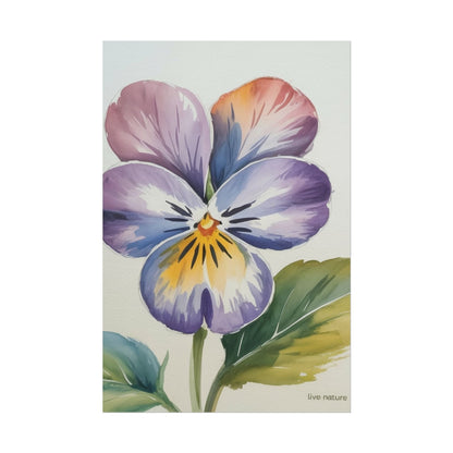 Violet Pansy Watercolor Art Print - Live Nature Design