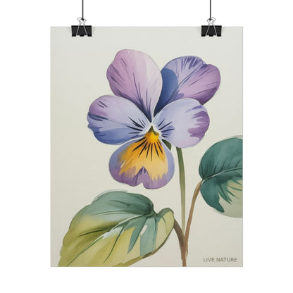 Wisconsin Wood Violet Watercolor Print – State Flower Art