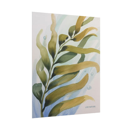 Live Nature Kelp Watercolor Print Poster
