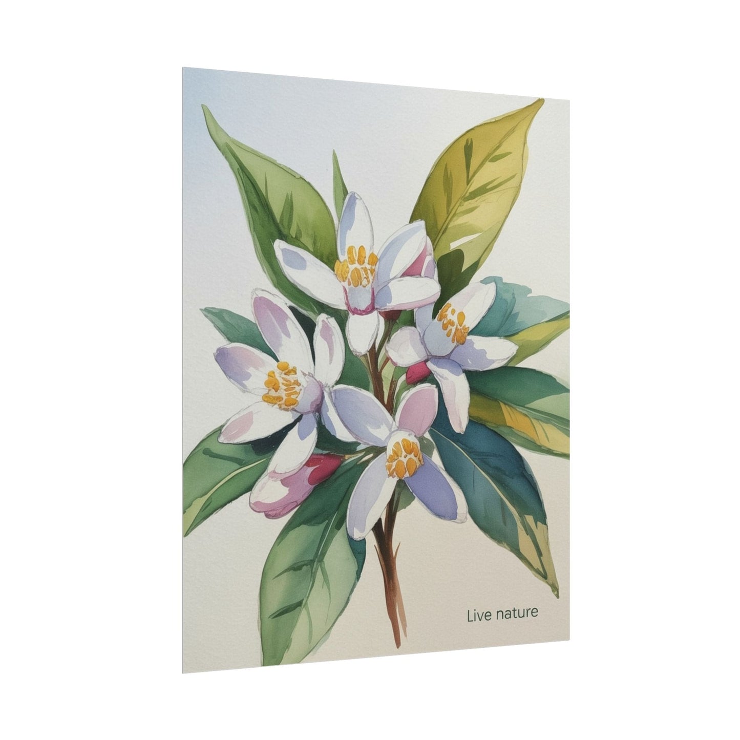 Orange Blossom Floral Watercolor Print 'Live Nature