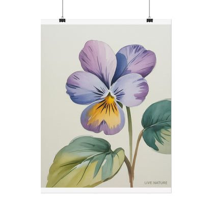 Wisconsin Wood Violet Watercolor Print – State Flower Art
