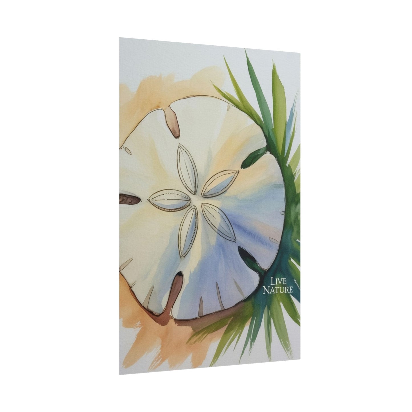 Sand Dollar Watercolor Print with 'Live Nature' Text