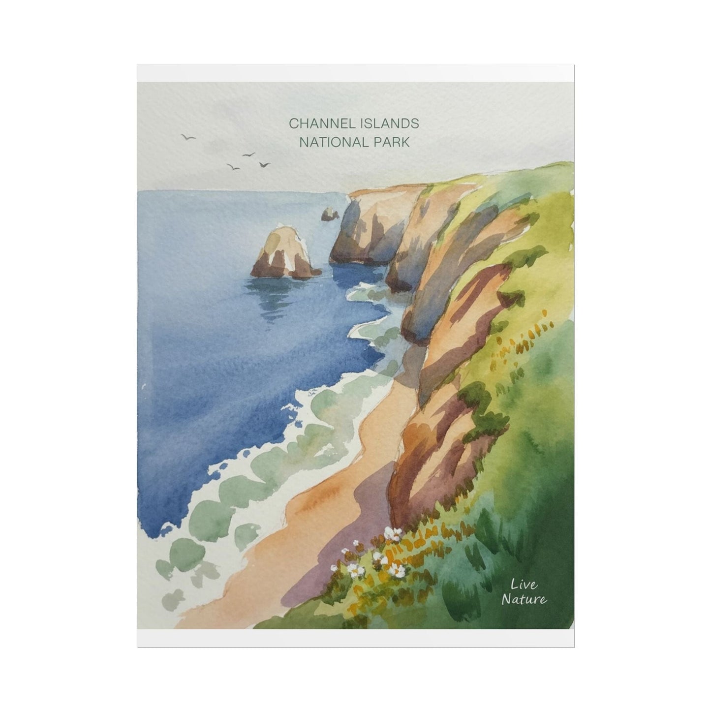 Channel Islands National Park Watercolor Poster Print