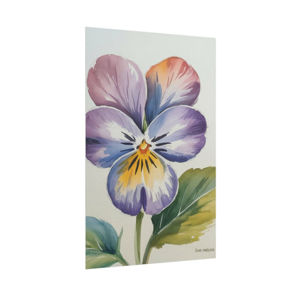 Violet Pansy Watercolor Art Print - Live Nature Design