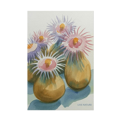 Colorful Sea Anemones Watercolor Art Print