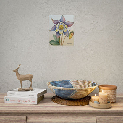Rocky Mountain Columbine Watercolor Poster - Live Nature
