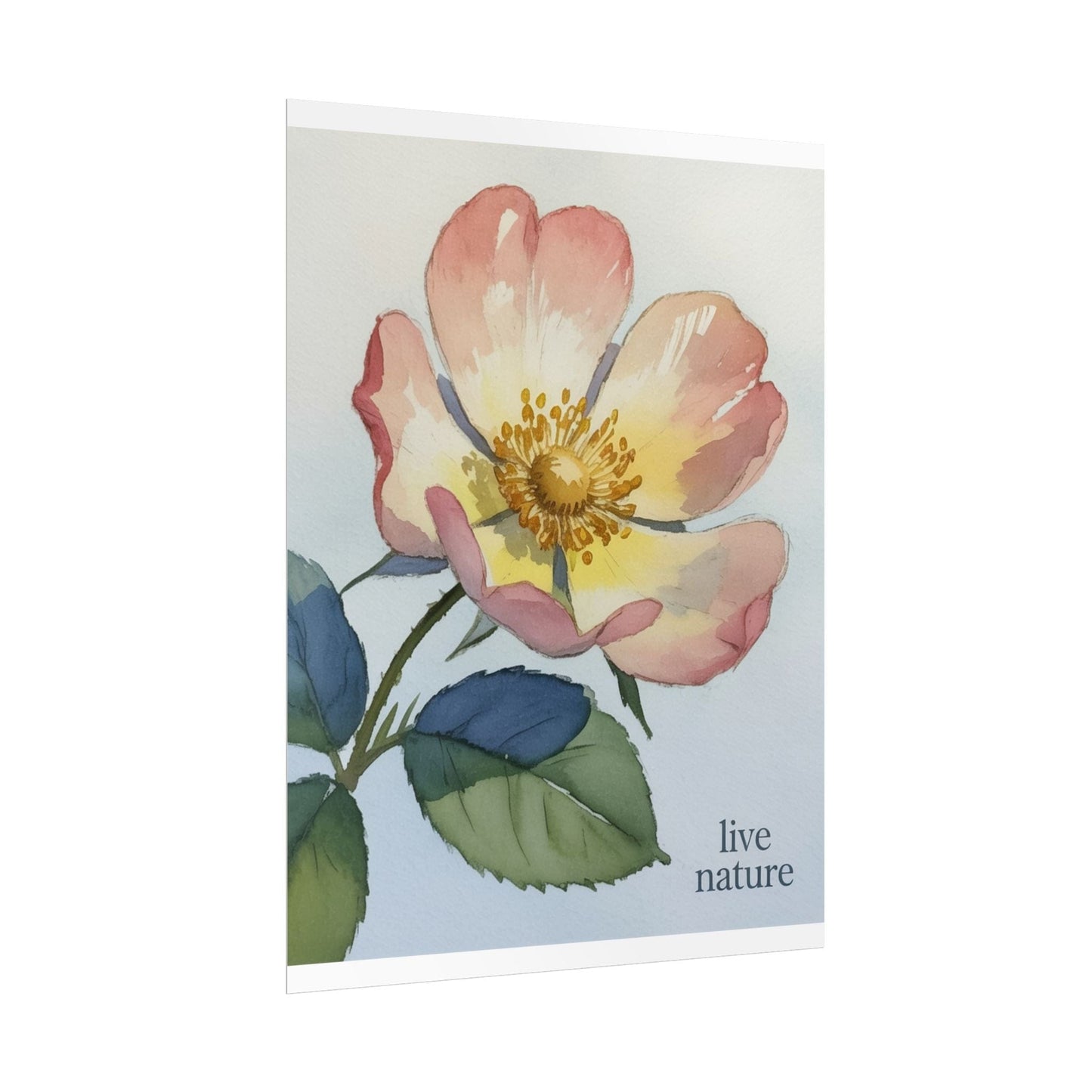 Wild Prairie Rose Watercolor Print with 'Live Nature' Text