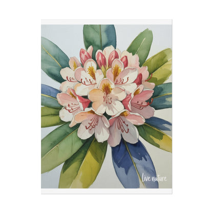 Rhododendron Blossom Watercolor Print 'Live Nature