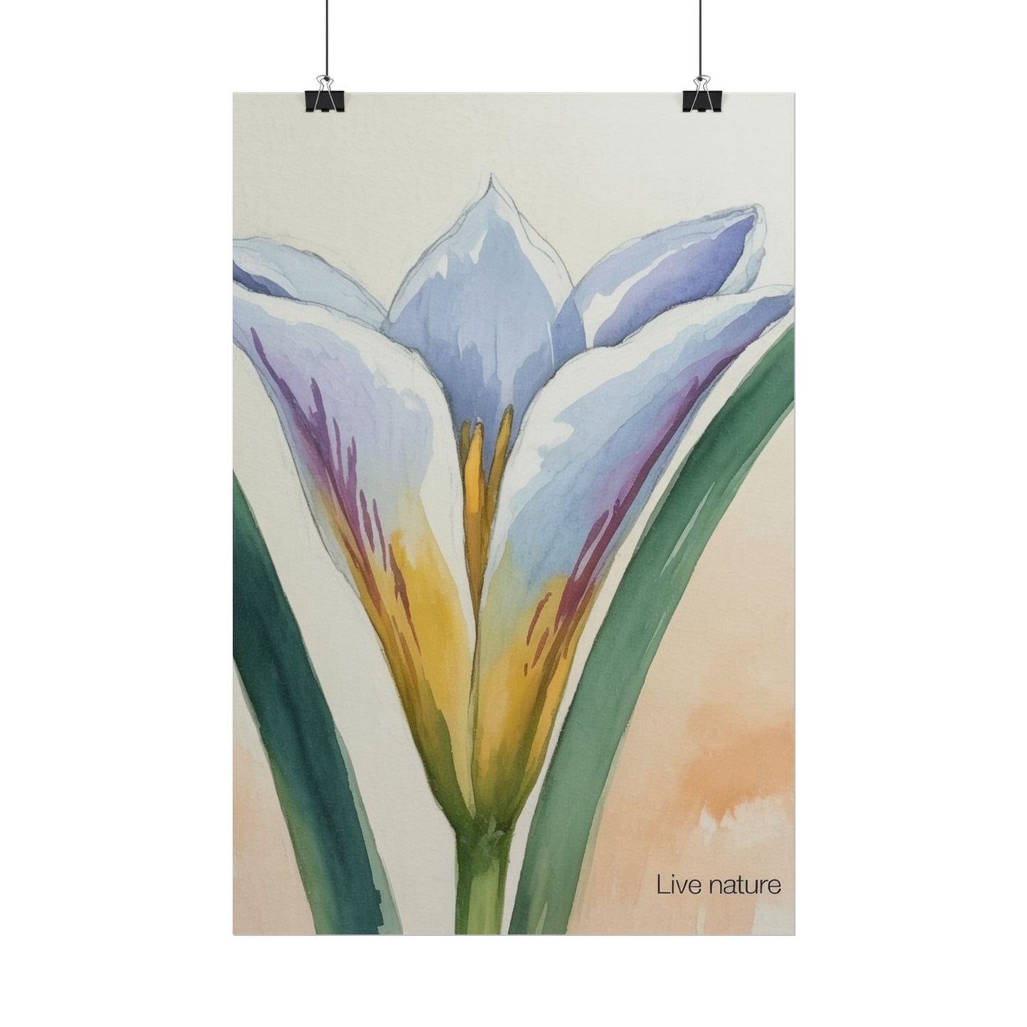 Sego Lily Watercolor Print Utah State Flower Art