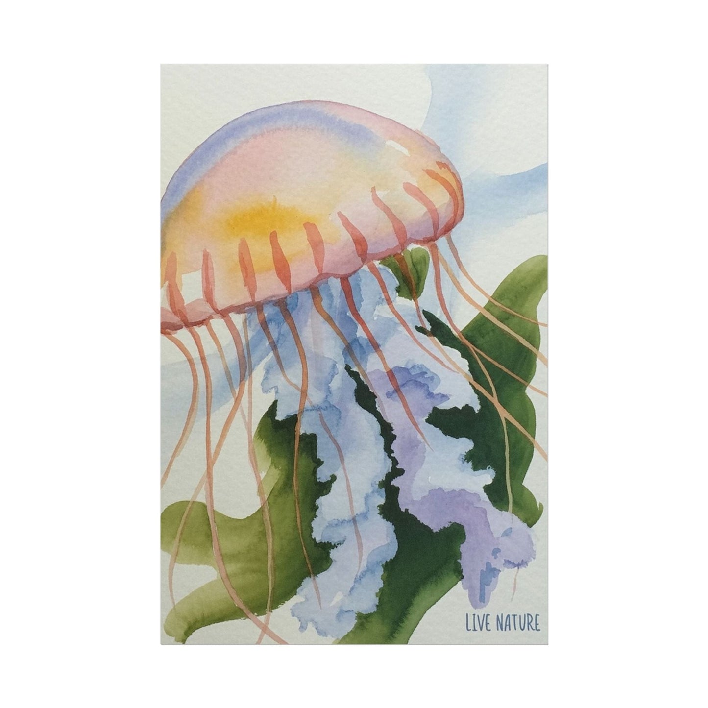Jellyfish Watercolor Art Print 'Live Nature' Design