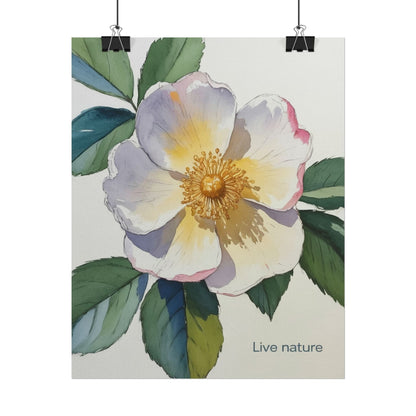 Cherokee Rose Watercolor Art Print 'Live Nature