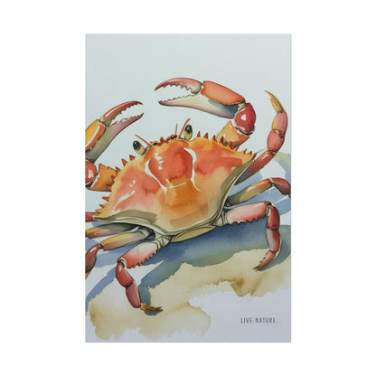 Live Nature Crab Watercolor Art Print Poster
