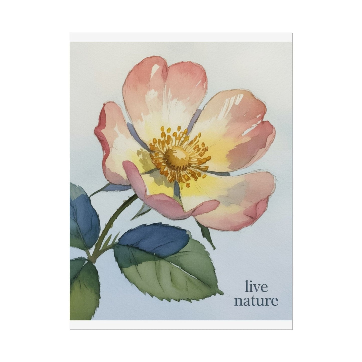 Wild Prairie Rose Watercolor Print with 'Live Nature' Text