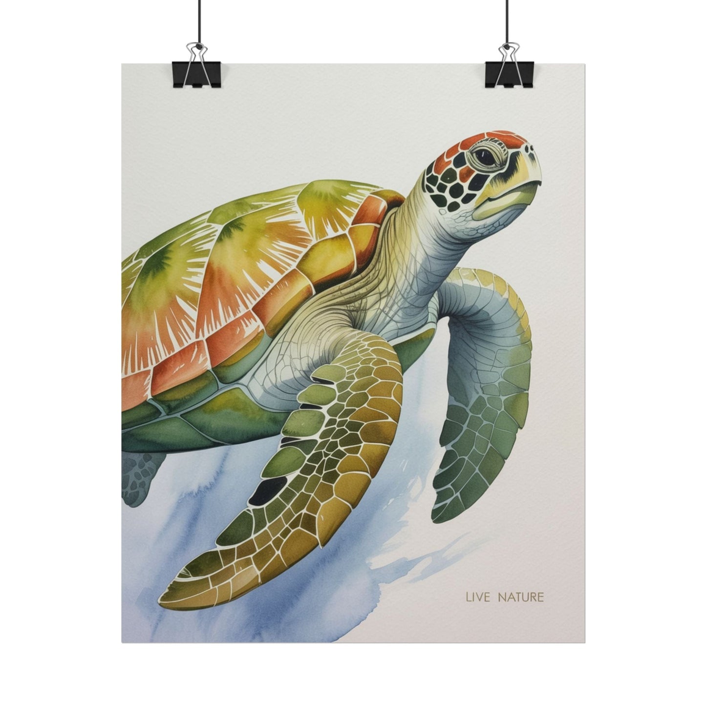Sea Turtle Watercolor Art Print 'Live Nature' Design