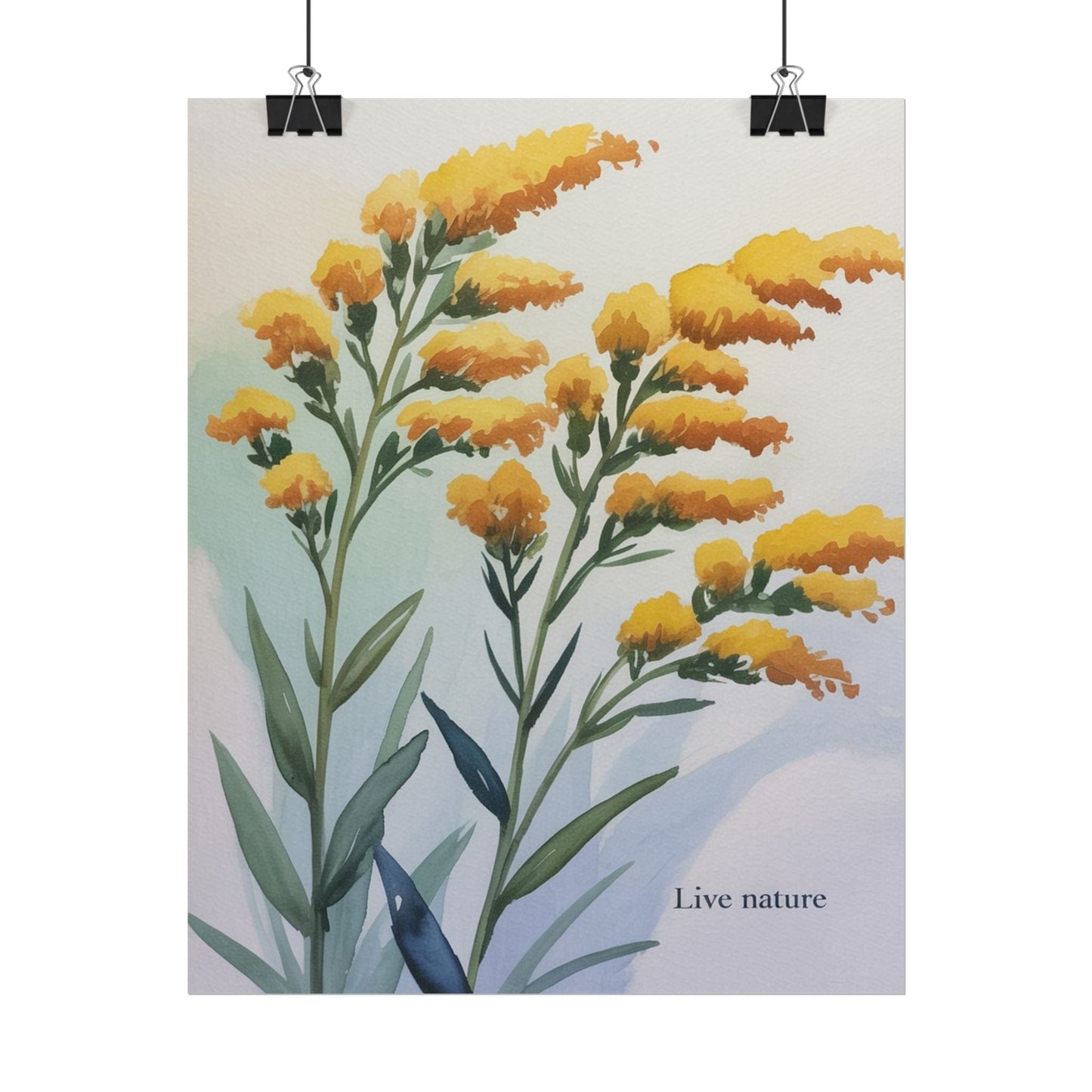 Goldenrod Flower Watercolor Poster - Live Nature Art