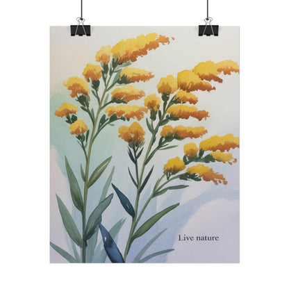 Goldenrod Flower Watercolor Poster - Live Nature Art