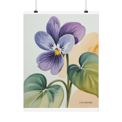 Prairie Violet Botanical Art Print - Live Nature Design