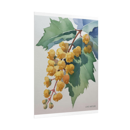 Oregon Grape State Flower Watercolor Art Print