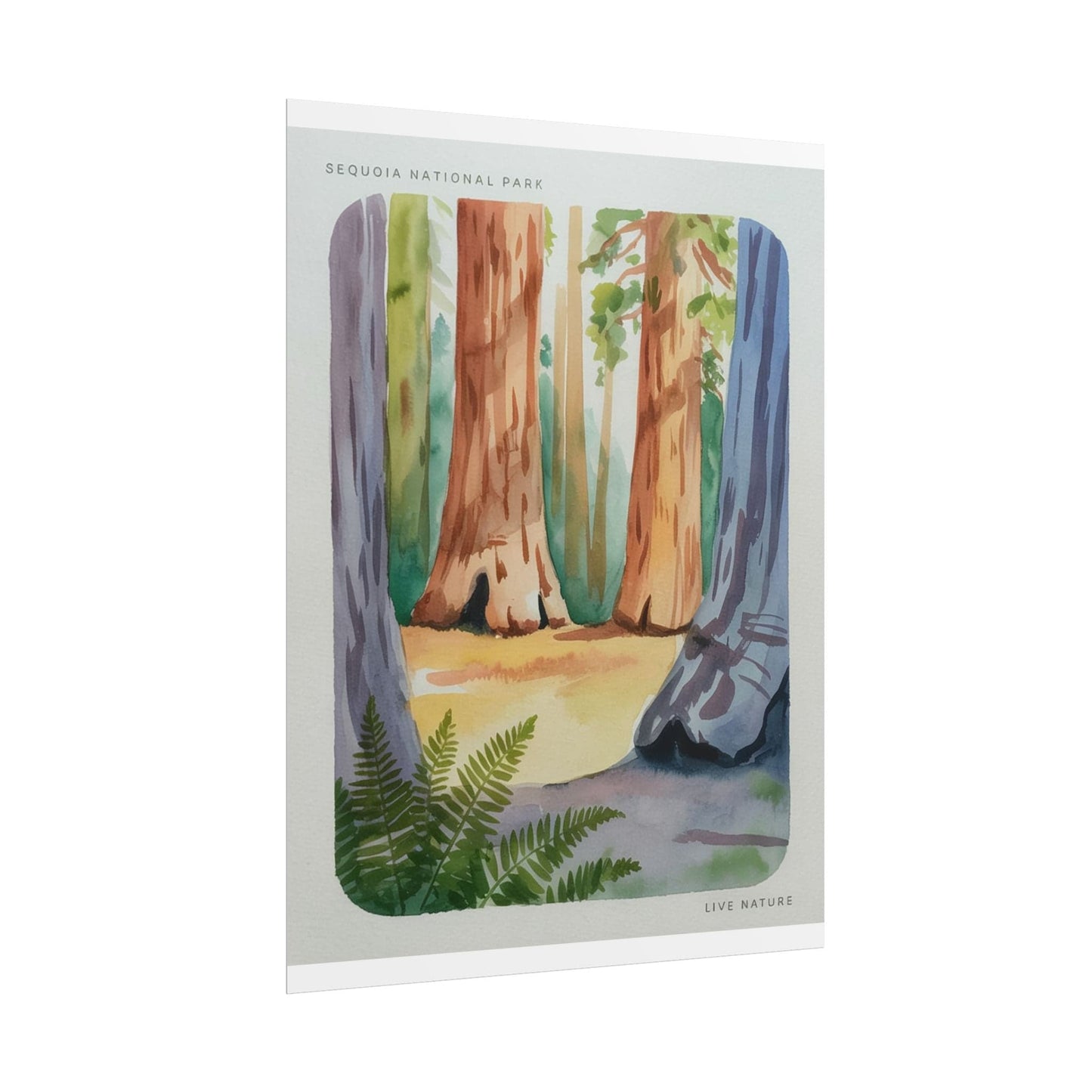Sequoia National Park Watercolor Print Poster